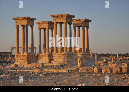 Turm Detail historischen Tempelstadt Stadt Reisekultur steinigen Wüstenlandschaft antiken Asien Spalten vier griechische Ruine Grab Grab Stockfoto