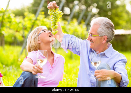 glücklich Senioren sitzen im Weinberg Stockfoto