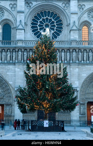 Weihnachtsbaum vor der Basilika von Notre-Dame, Paris, Frankreich, Europa Stockfoto