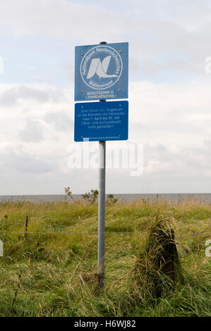 Melden Sie Nationalpark Niedersaechsisches Wattenmeer, untere Sachsen Nationalpark Wattenmeer in den Salzwiesen Stockfoto