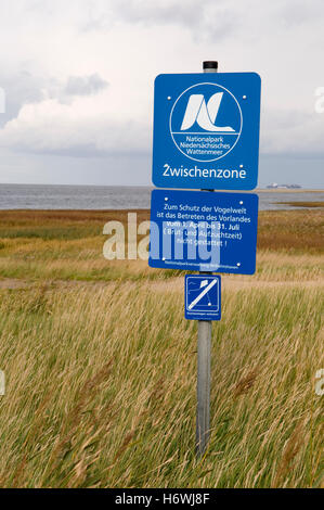 Melden Sie Nationalpark Niedersaechsisches Wattenmeer, untere Sachsen Nationalpark Wattenmeer in den Salzwiesen Stockfoto