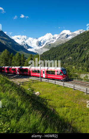 Bernina Express Zug unter Morteratsch Gletscher. Pontresina, Berniner Alpen, Graubünden, Schweiz. Stockfoto