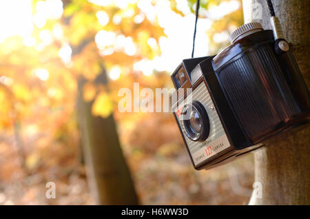 kodak Brownie 127 Kamera im Herbst Wald, norfolk, england Stockfoto