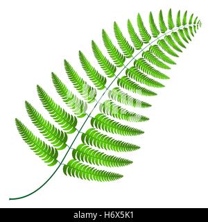 Farn Wedel Silhouetten Musterdesign. Sommer-Vektorgrafik. Stock Vektor