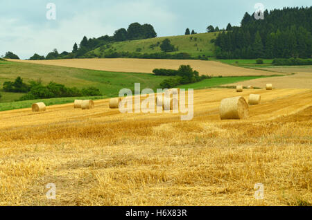 Rasenplätze Stockfoto