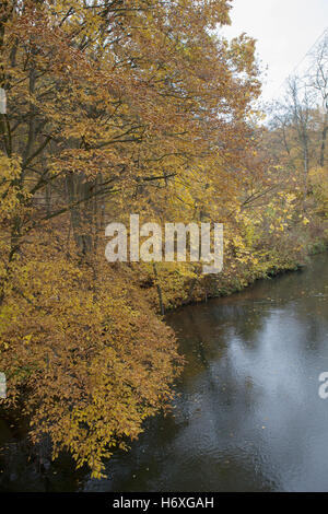 Herbstliche Szene in einem Wald mit Blick auf einen Fluss, Stockfoto