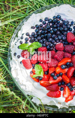 Pavlova mit Beeren und Obst steht auf dem Rasen. Stockfoto