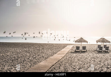 Hölzerne Pfad zum Strand, Sonnenschirme und Vögel Stockfoto