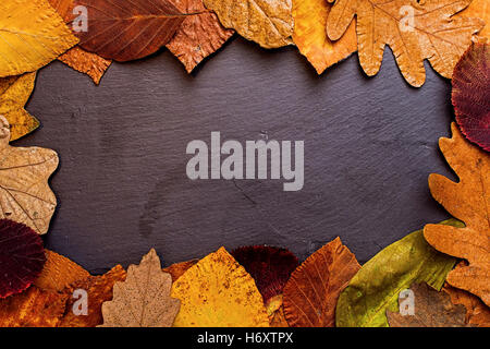 Autumn Leaves Frame on Dark Stone Background. Autumn Concept Wallpaper. Stockfoto