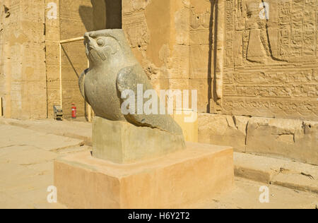 Die alten steinerne Falcon ist das Symbol des Horus-Tempels in Edfu, Ägypten. Stockfoto