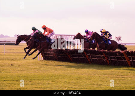 Pferderennen über Hürden bei Wincanton Race Course in Somerset Uk Stockfoto