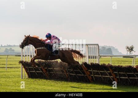 Pferderennen über Hürden bei Wincanton Race Course in Somerset Uk Stockfoto