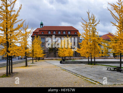 Invalidenpark, Berlin. Bundesministerium für Wirtschaft, Mittelstand und Energie Gebäudehülle mit goldenen Ginkgo-Bäume im Herbst. Stockfoto