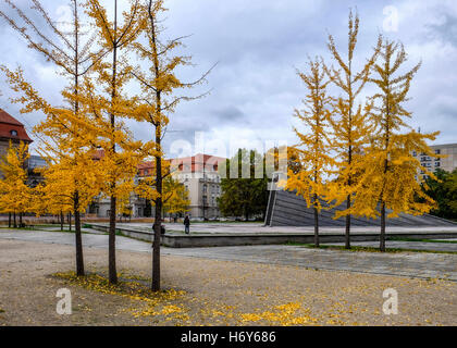 Invalidenpark mit sinkender Mauer monumentale Skulptur mit Brunnen & Teich von Christophe Girot und gelben Maidenhairbäumen im Herbst, Mitte Berlin. Stockfoto