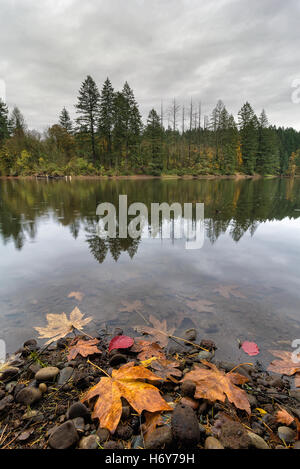 Runde See im Lacamas Park im US-Bundesstaat Washington im Herbst Saison an einem regnerischen Tag Stockfoto