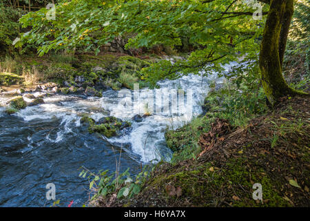 Ein Blick auf Stromschnellen am Tumwater River im US-Bundesstaat Washington. Stockfoto