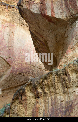 Aufschlüsse in Juniper Gulch, Waben Wildnis Untersuchungsgebiet, Leslie Gulch Bereich der kritischen Umwelt Sorge, Oregon Stockfoto