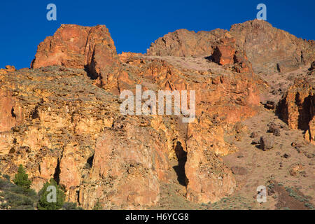 Aufschlüsse in Juniper Gulch, Waben Wildnis Untersuchungsgebiet, Leslie Gulch Bereich der kritischen Umwelt Sorge, Oregon Stockfoto