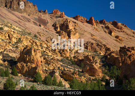 Aufschlüsse in Juniper Gulch, Waben Wildnis Untersuchungsgebiet, Leslie Gulch Bereich der kritischen Umwelt Sorge, Oregon Stockfoto