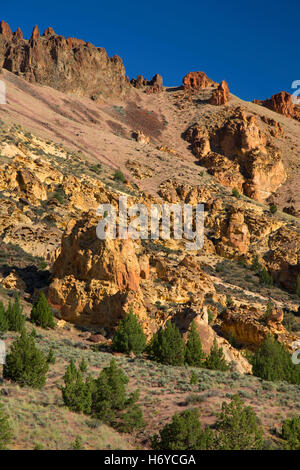 Aufschlüsse in Juniper Gulch, Waben Wildnis Untersuchungsgebiet, Leslie Gulch Bereich der kritischen Umwelt Sorge, Oregon Stockfoto