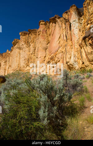 Aufschlüsse in Juniper Gulch, Waben Wildnis Untersuchungsgebiet, Leslie Gulch Bereich der kritischen Umwelt Sorge, Oregon Stockfoto