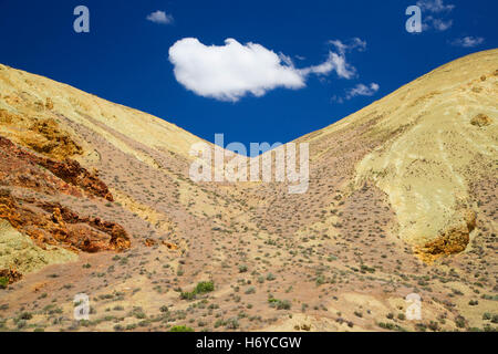 Canyon Aufschlüsse, Leslie Gulch Bereich der kritischen Umweltbewusstsein, Vale Bezirk Bureau of Land Management, Oregon Stockfoto