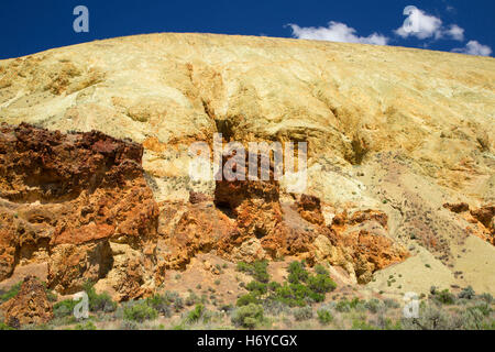 Canyon Aufschlüsse, Leslie Gulch Bereich der kritischen Umweltbewusstsein, Vale Bezirk Bureau of Land Management, Oregon Stockfoto