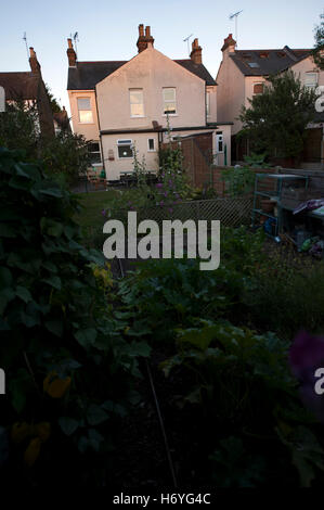 Nachmittagssonne, Leigh-on-Sea, Essex, England, Vereinigtes Königreich Stockfoto