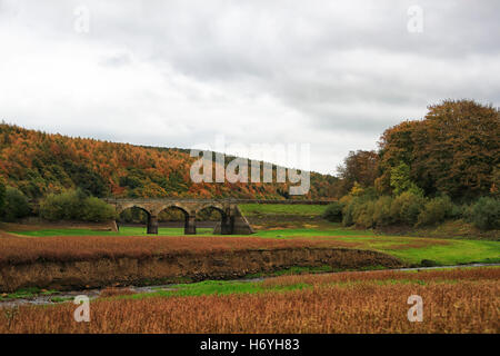 Lindley Wood Behälter trocken zeigt ungewöhnliche Herbst Farbe mit dem Fluß Washburn kaum sichtbar im Vordergrund laufen. Stockfoto