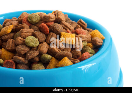 Trocken Katzenfutter in blau Schüssel, Detail auf weiß. Stockfoto