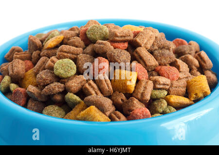 Trocken Katzenfutter in blau Schüssel, Detail auf weiß. Stockfoto