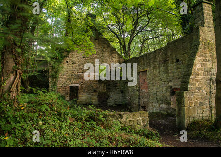 Gruselige verlassene verfallene Gebäude in dichtem Waldlandschaft Stockfoto