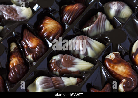 Schokolade Muscheln in Plastikbehälter Stockfoto