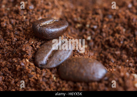 Drei geröstete Kaffeebohnen, Kaffeepulver. Stockfoto