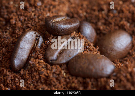 Drei geröstete Kaffeebohnen, Kaffeepulver. Stockfoto