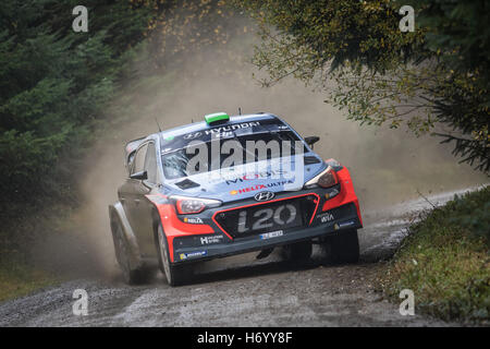 Ein Hyundai i20 angetrieben von Hayden Paddon nimmt eine Ecke in der Dyfnant Phase der Wales Rally GB 2016 Stockfoto