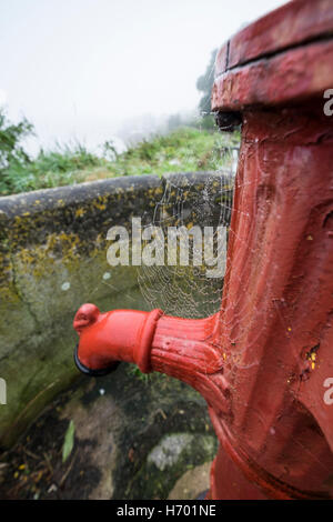 Wassertropfen auf einem Spinnen Spinnennetz auf eine alte Wasserpumpe, Scilly Spaziergang, Kinsale, Cork, Irland Stockfoto