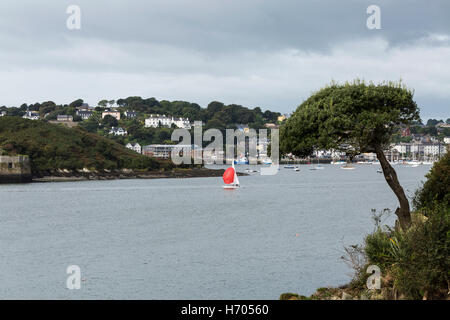 Kleines Segelboot mit rotem Spinnaker Segel aus Kinsale Hafen, Cork, Irland Stockfoto