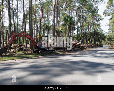 Bereinigung von umgestürzten Bäumen nach einem Hurrikan in South Carolina Stockfoto