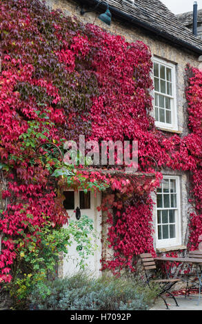 Parthenocissus Tricuspidata. Boston-Efeu / Japanisch Creeper auf neue Inn, Coln St Aldwyns, Cotswolds, Gloucestershire, England Stockfoto