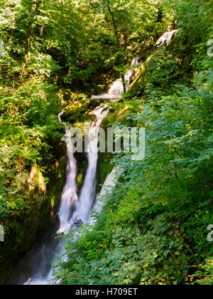 Stock Ghyll Kraft, Ambleside, Lake District, Cumbria Stockfoto