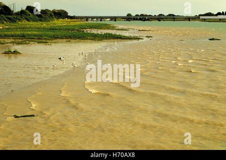 Blick auf den Fluss Adur in der Nähe von Shoreham-by-Sea, England Stockfoto