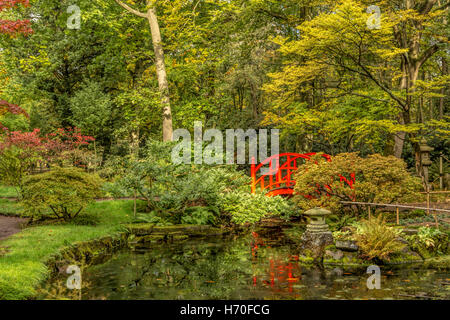 Roten Holzbrücke im japanischen Garten im Park Clingendael, Den Haag, den Haag, Zuid-Holland, Niederlande. Stockfoto