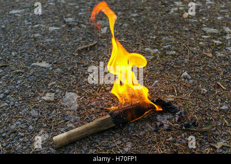 Brenner-Flamme in wilder Natur Hintergrund. Stockfoto