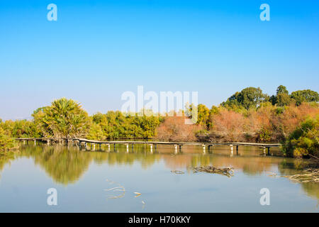 Einen erhöhten hölzernen Fußweg über einen Wasserteich in Nordisrael En Afek Nature Reserve Stockfoto