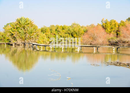 Einen erhöhten hölzernen Fußweg über einen Wasserteich in Nordisrael En Afek Nature Reserve Stockfoto