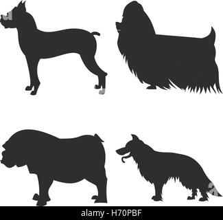die quadratischen Bild kleine Gruppe von schwarzen Schatten der vier reinrassige Hunde Isoleted auf dem weißen Hintergrund Stock Vektor