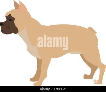 Französische Bulldogge Design flach, Haustier-Hund oder Tiere Welpen, Vektor-illustration Stock Vektor