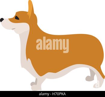 Pembroke Welsh Corgi Rasse Hund und Haustier niedlich Porträt isoliert auf weißem Hintergrund Stock Vektor