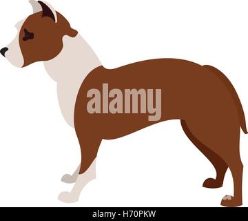 Amerikanischer Pit-Bullterrier Tiere Hund, heimischen Rasse-Vektor-illustration Stock Vektor